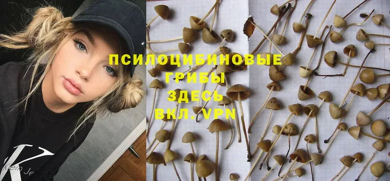 Псилоцибиновые грибы MAGIC MUSHROOMS  Изобильный 